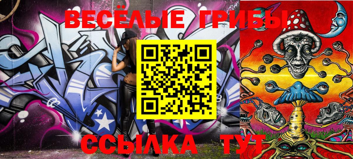 Галлюциногенные грибы Cubensis  Вход с VPN  Гуково 