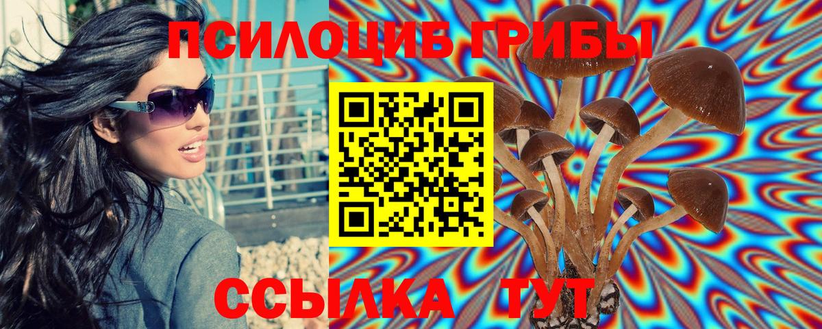 Галлюциногенные грибы прущие грибы Гуково